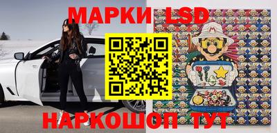 крисы Кандалакша